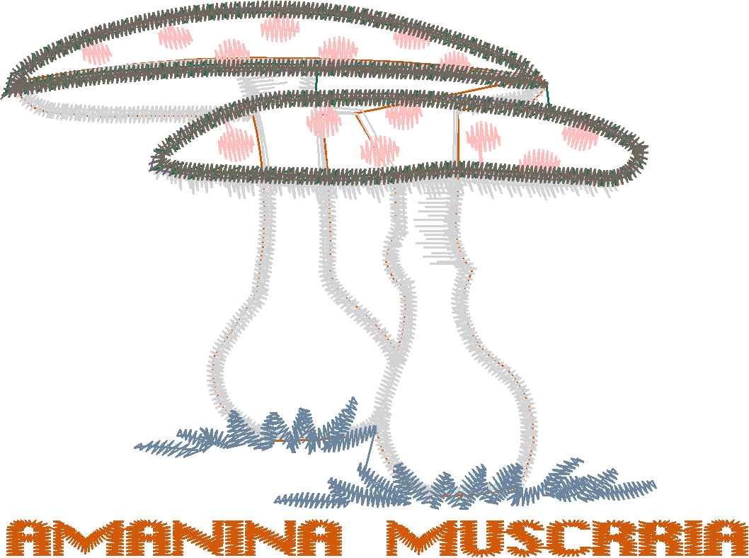 Amanita Muscaria Mushrooms