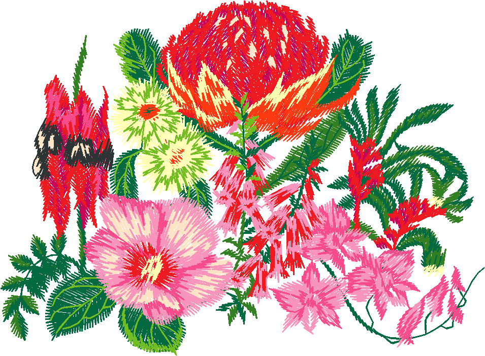 Australian Wildflower Medley