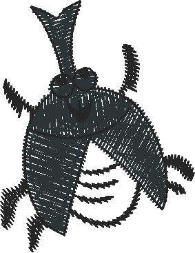 Beetle