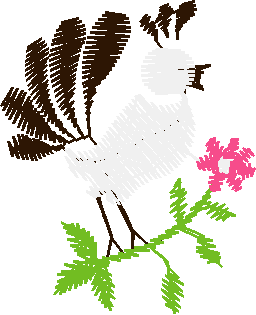 Bird on Branch