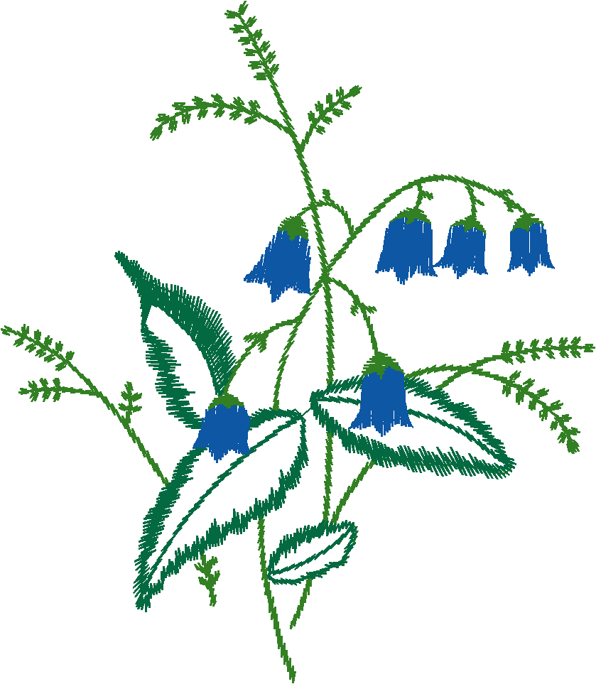 Blue Butterfly with Flowers Border