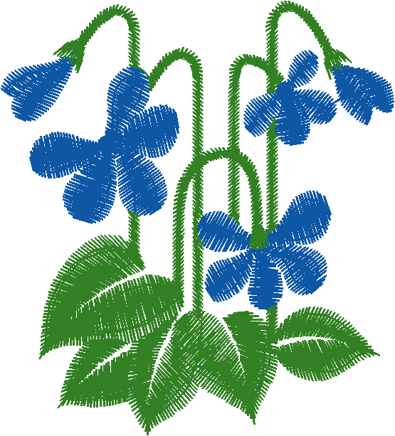 Blue Geranium Flowers
