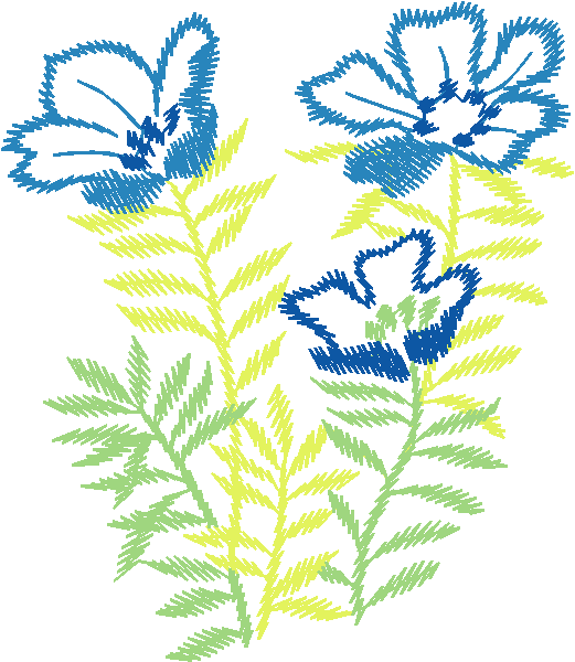 Blue Iris with Fern