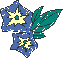 Blue Star Flower Pair