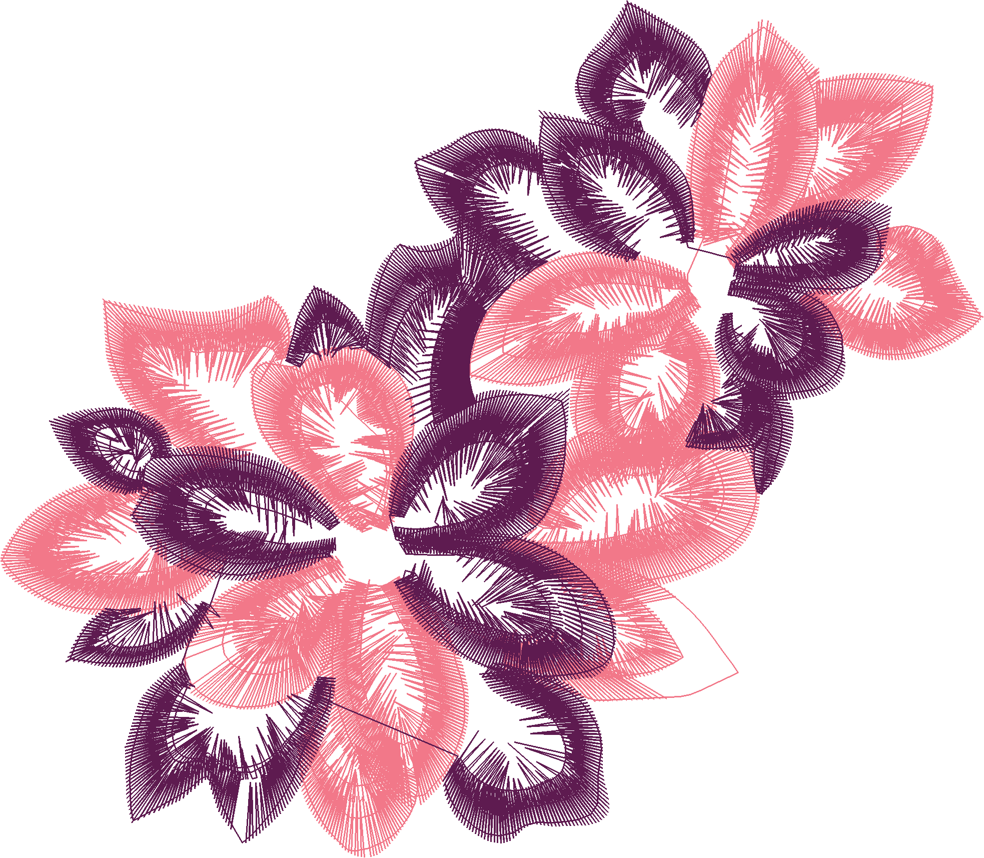 Bold Poinsettia Bloom