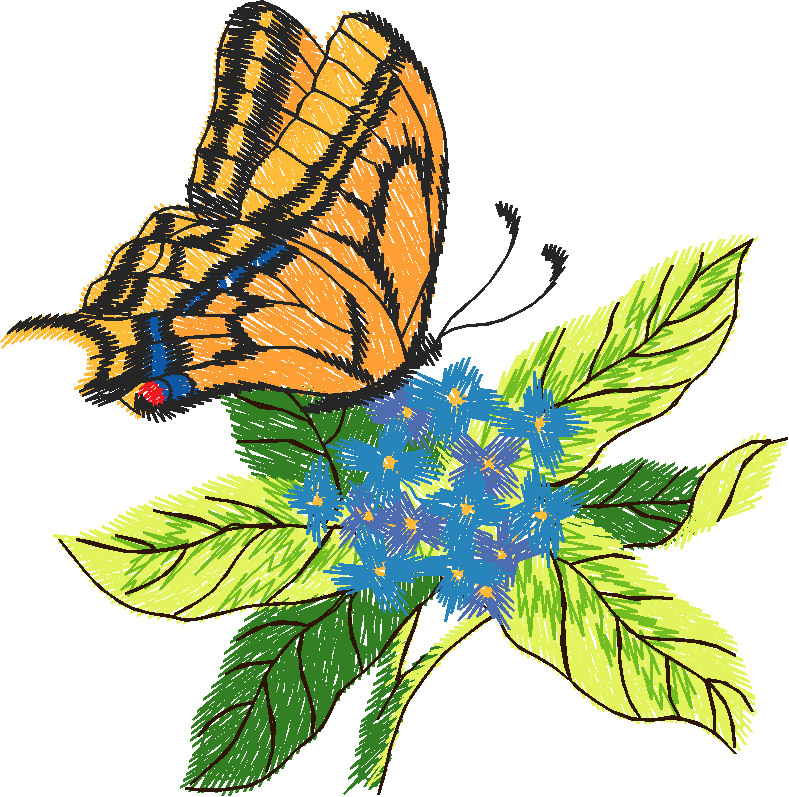 Butterfly with Hydrangea