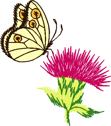 Butterfly with Thistle