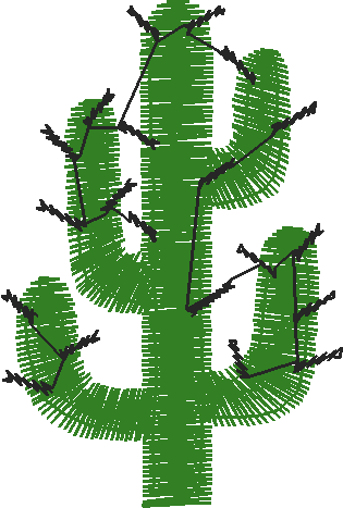 Cactus