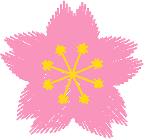 Cherry Blossom