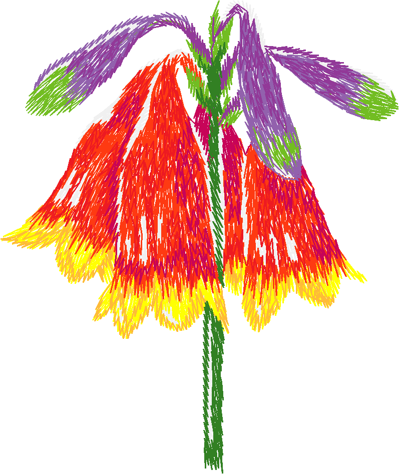 Christmas Bells Flower
