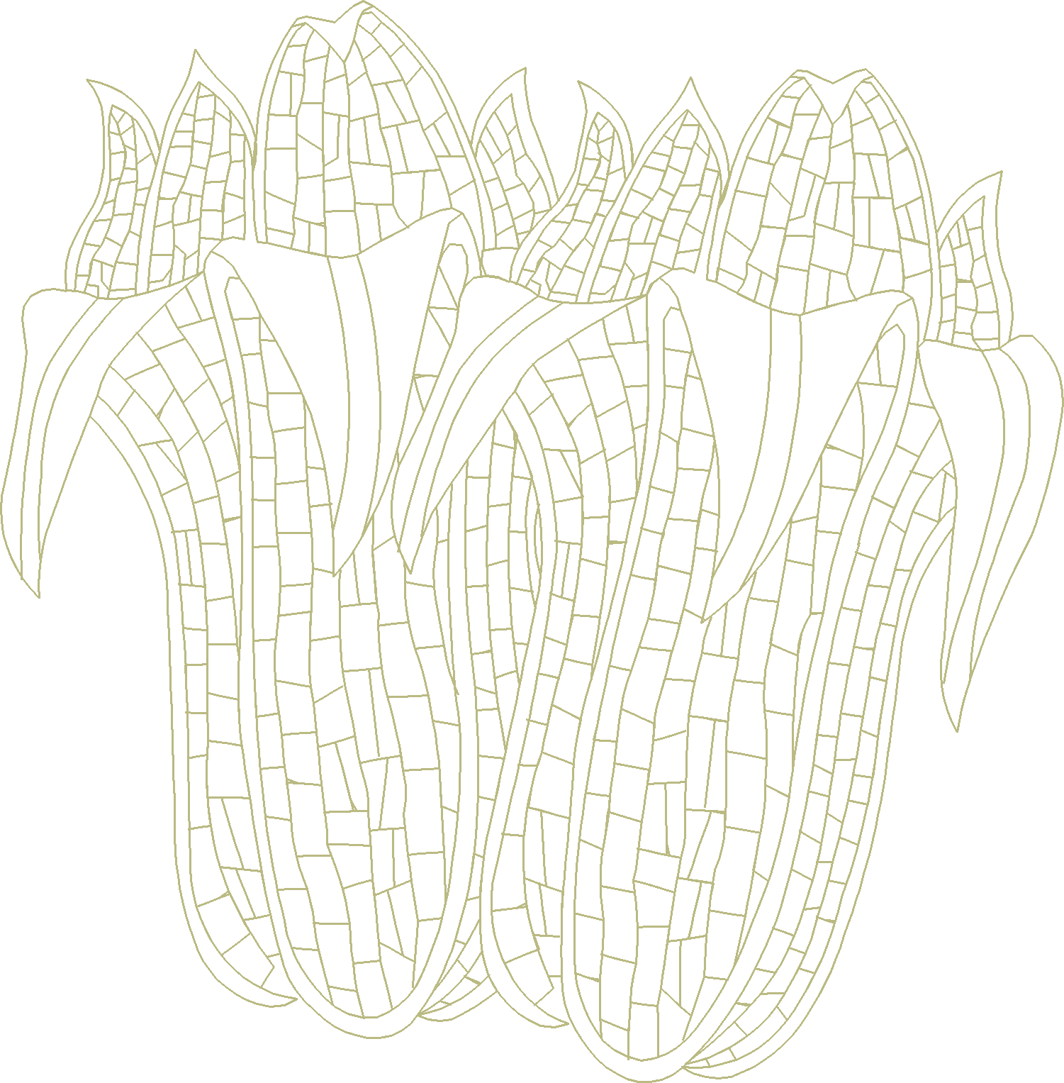 Corn Cobs Cluster