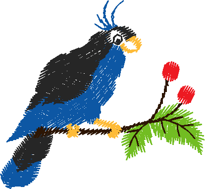 Crested Bird