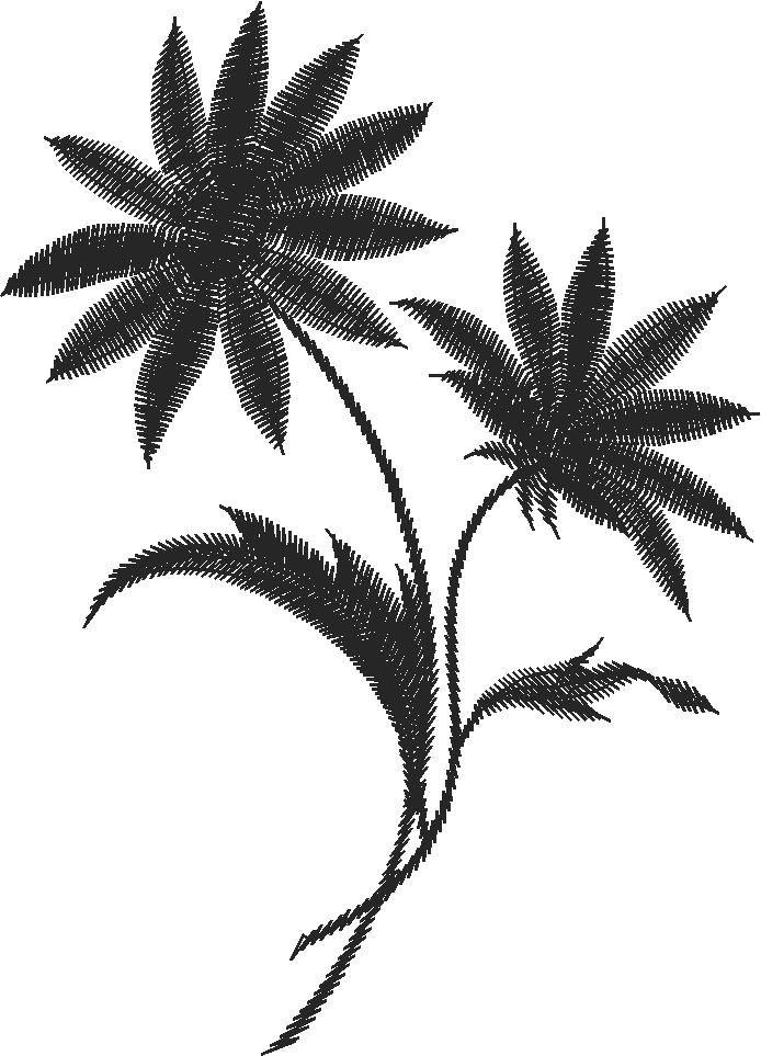 Daisy Spray Lace Applique