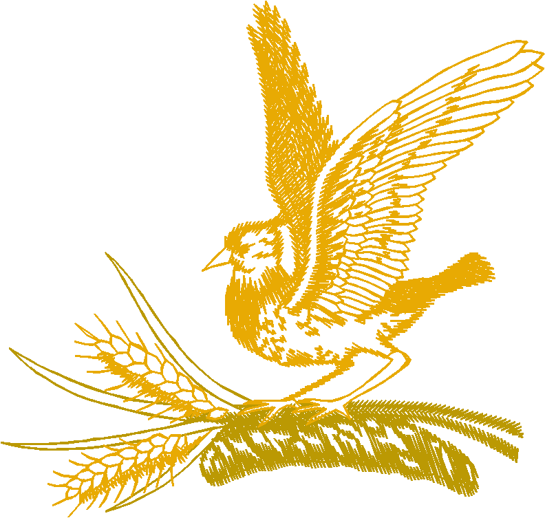 Doves