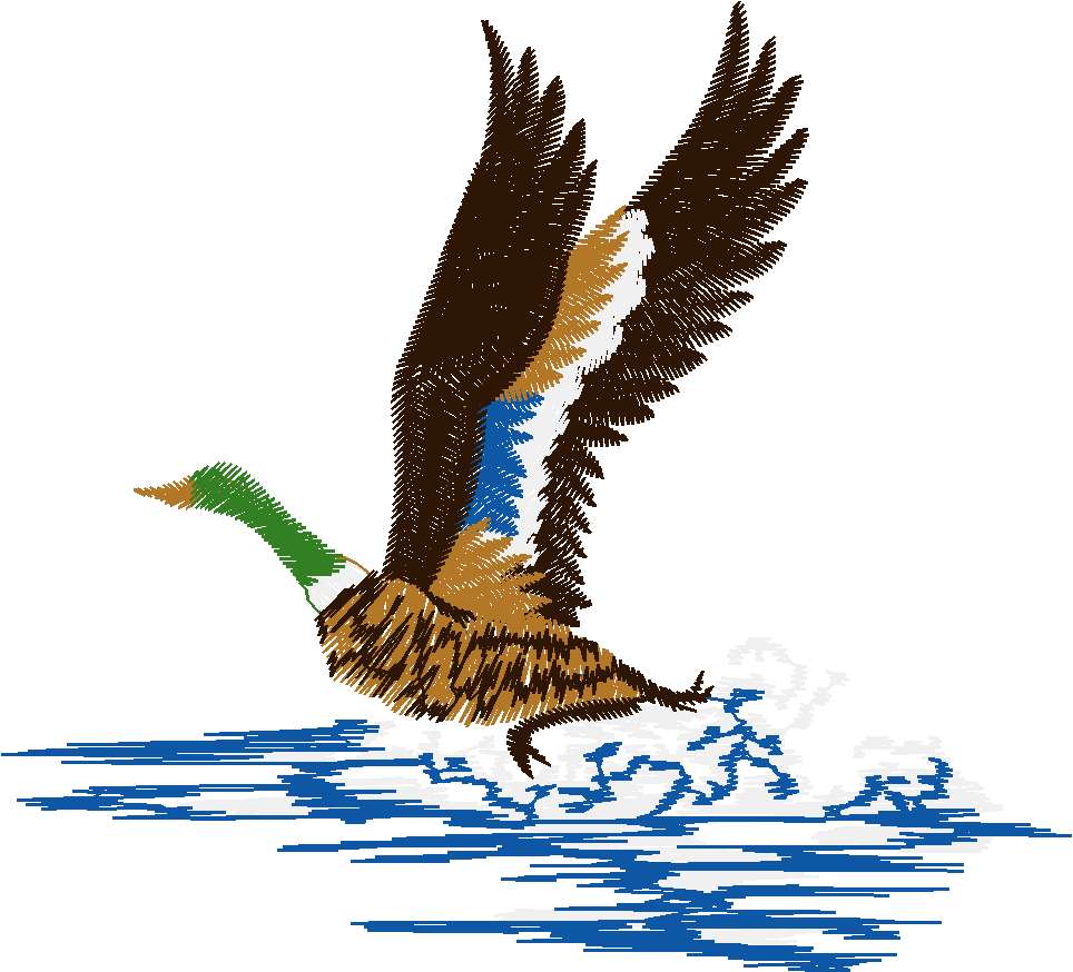 Duck Landing