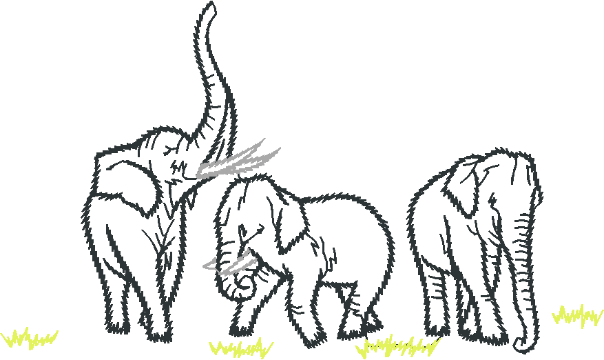 Elephants