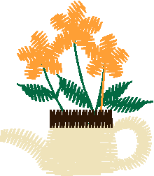 Flowers in Pitcher