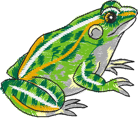 Frog