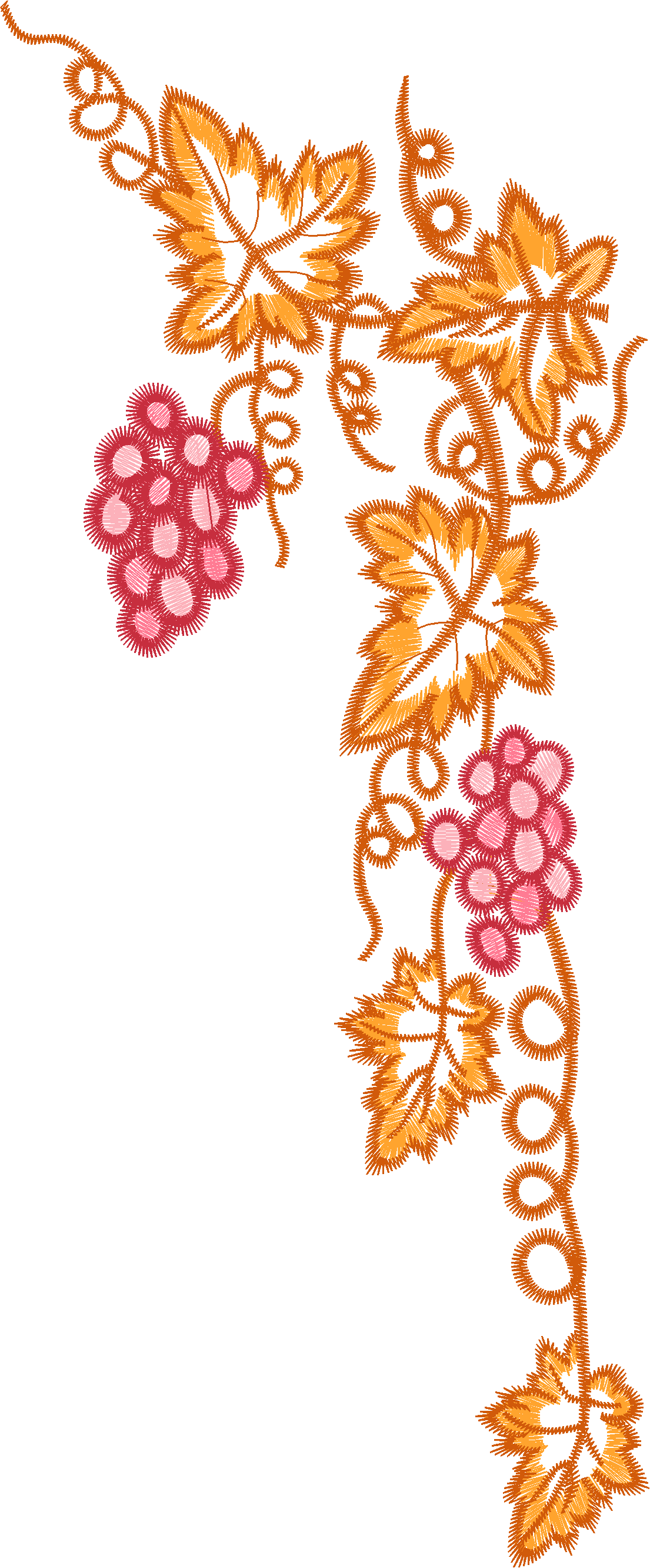 Fruit Border with Strawberries