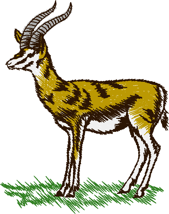 Gazelle