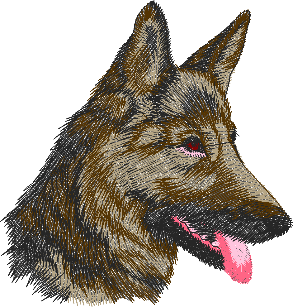 German Shepherd Head
