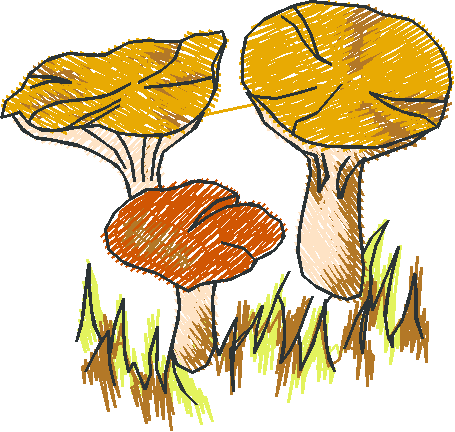 Golden Mushroom Cluster with Grass