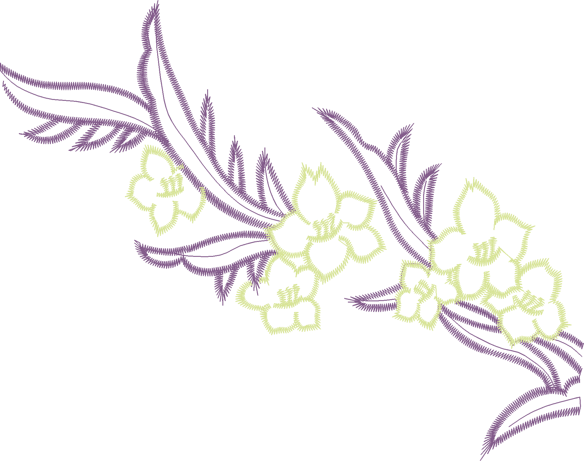 Grape Cluster Spray