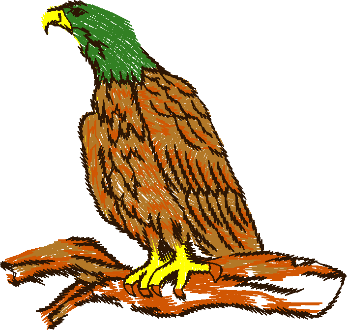 Hawk