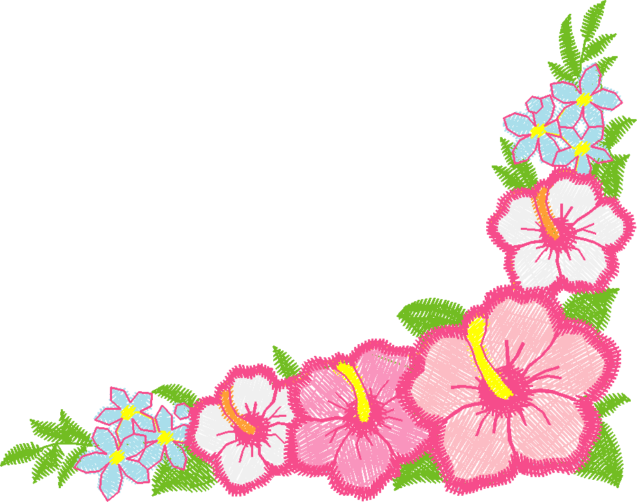 Hibiscus Corner