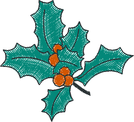 Holly Leaves and Berries