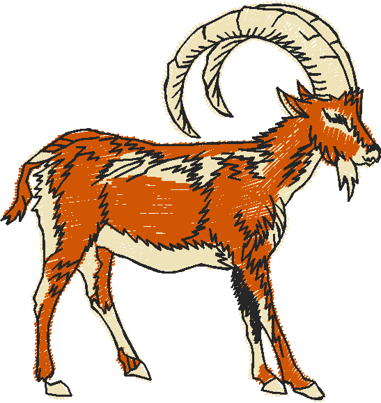 Ibex