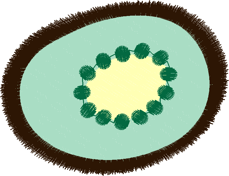 Kiwi