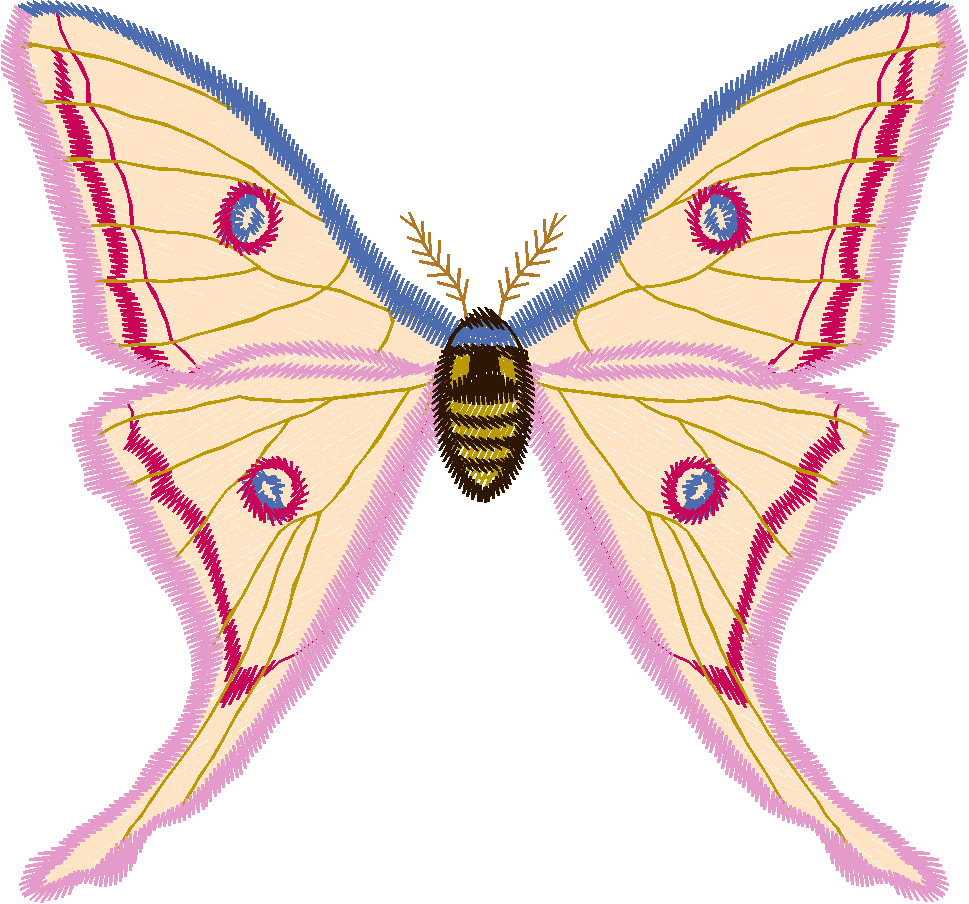 Luna Moth