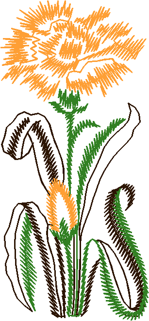 Orange Gerbera Single Stem