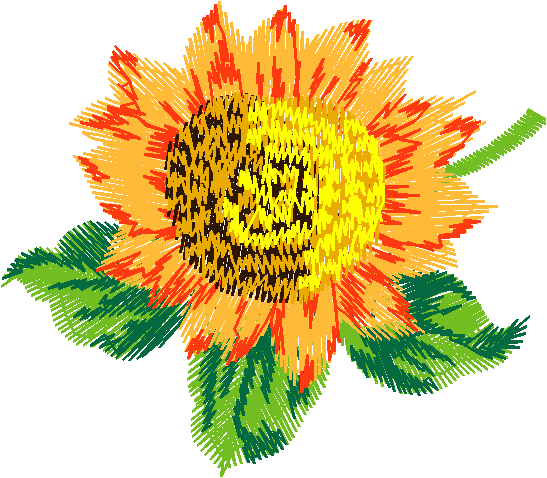Orange Sunflower with Leaves