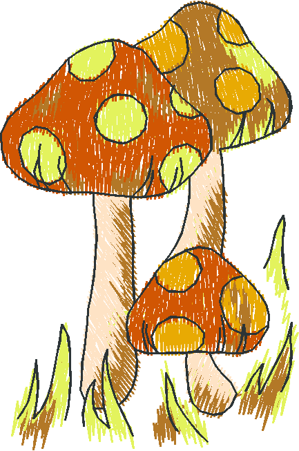 Orange Toadstool Mushrooms