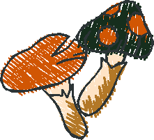 Orange Toadstool Pair