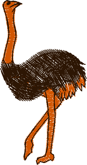 Ostrich