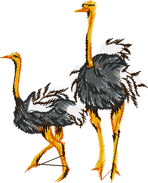 Ostriches