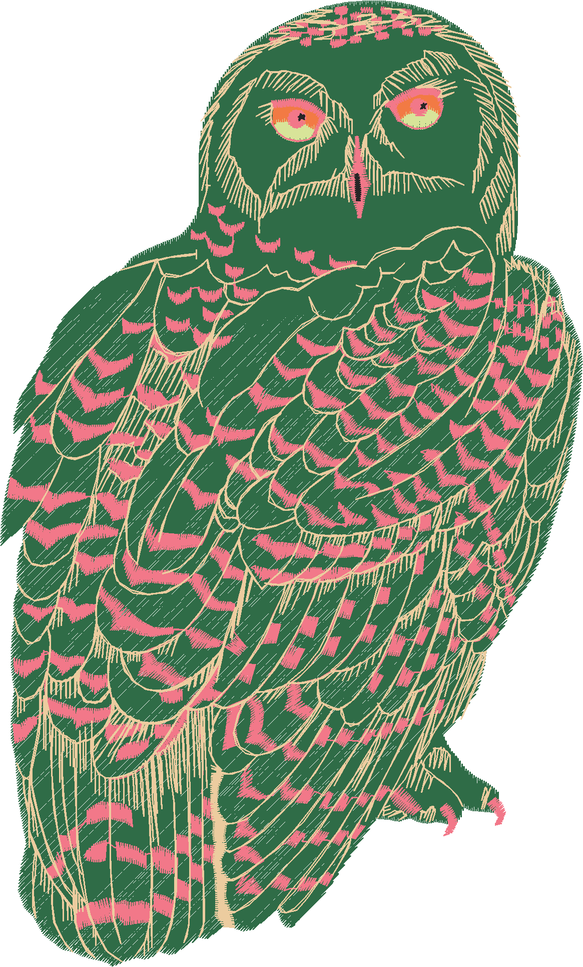 Owl