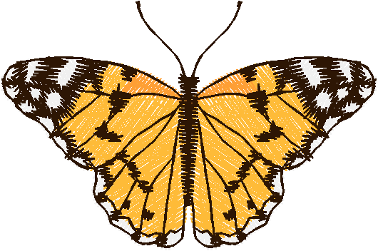 Painted Lady Butterfly
