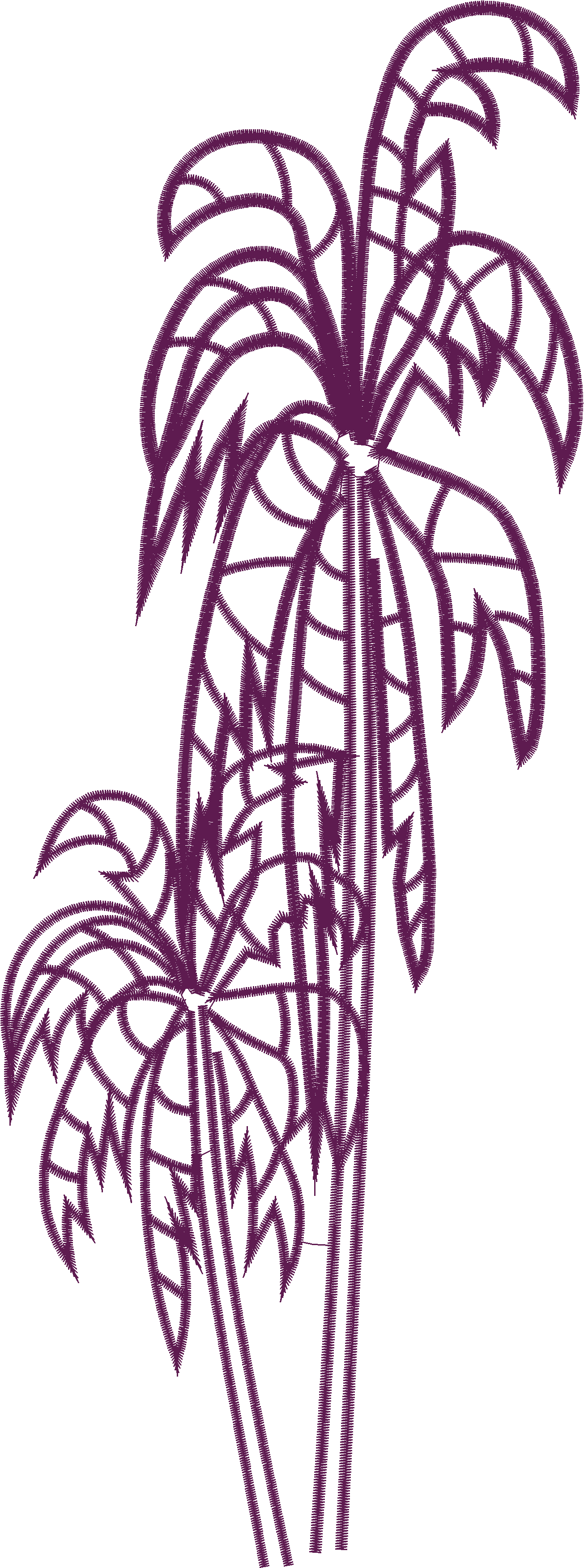 Palm Tree Line Art
