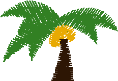 Palm Tree