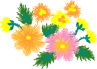 Pink and Yellow Aster Spray
