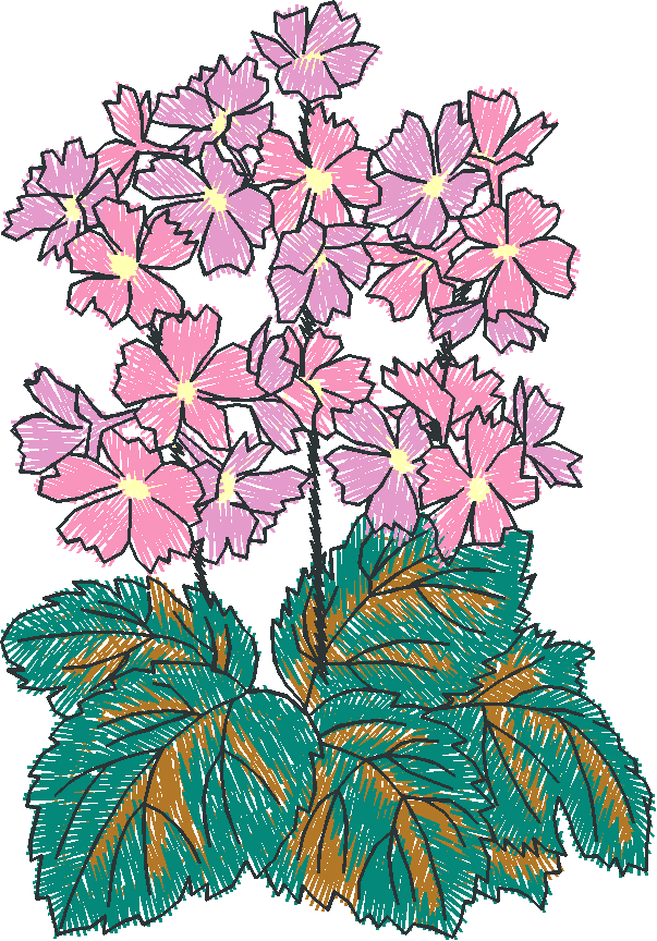 Pink Blossom Cluster with Leaves