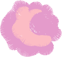 Pink Blossom
