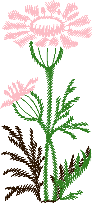 Pink Daisy Single Flower