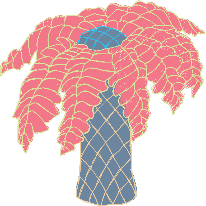Pink Palm Tree with Lattice Trunk