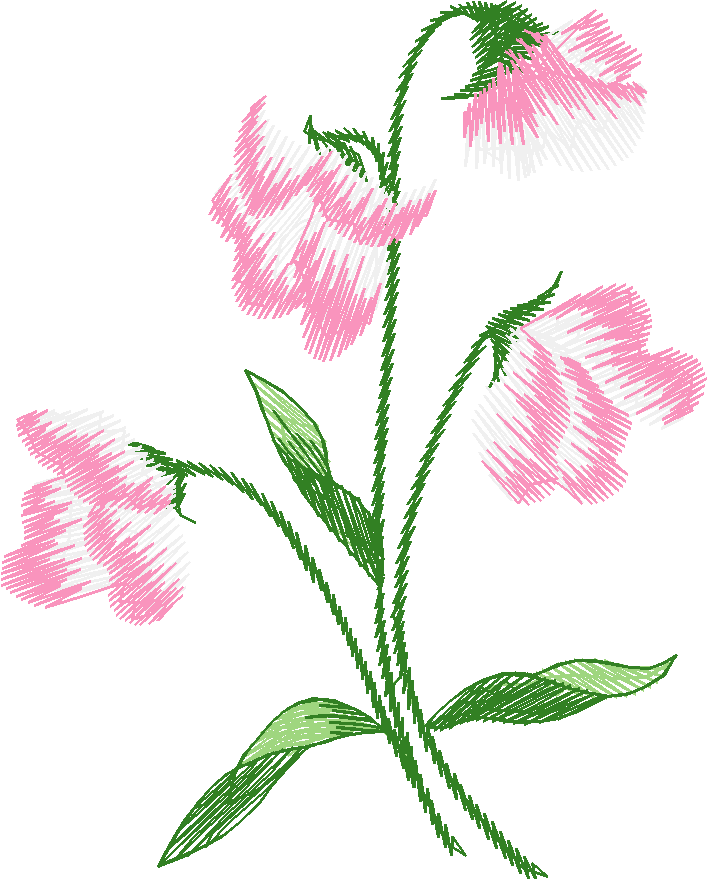 Pink Purple Floral Design