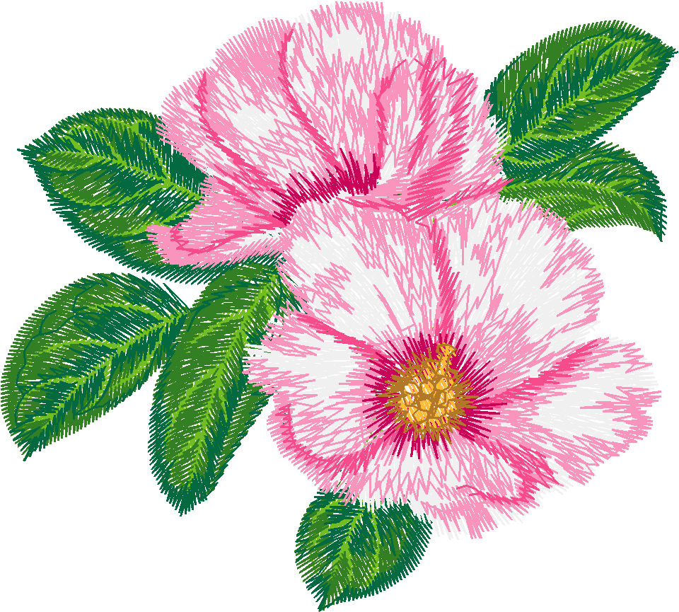 Pink Wild Rose Pair